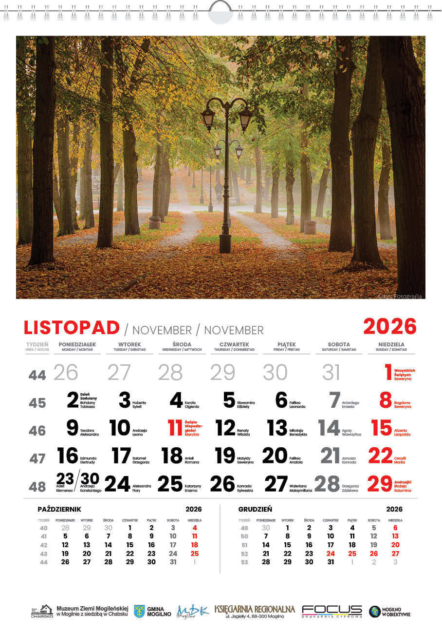 Zdjęcie produktu 12